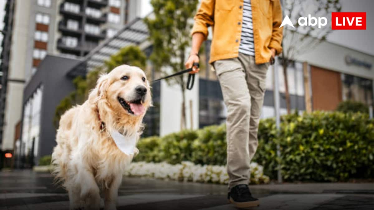 Karnataka: अपार्टमेंट के ‘साइलेंस जोन’ में कुत्ते को घुमाने को लेकर बवाल, मोबाइल छीना तो हुई मारपीट